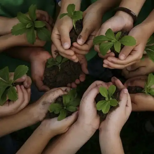 Maishan Environmental Protection was honored as one of the first batch of 